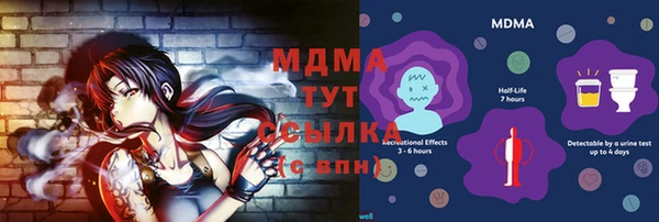 стаф Алексин