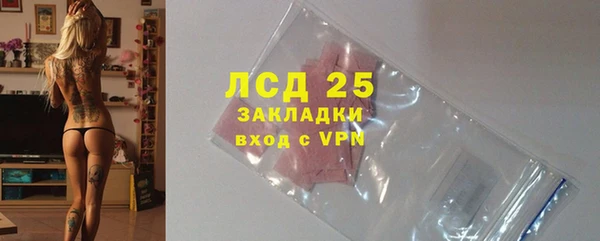 стаф Алексин