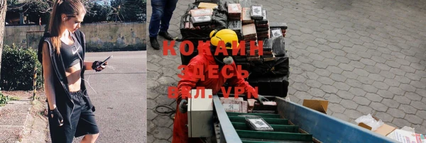 дмт Алзамай