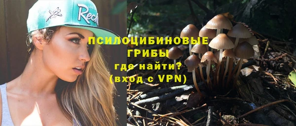 стаф Алексин