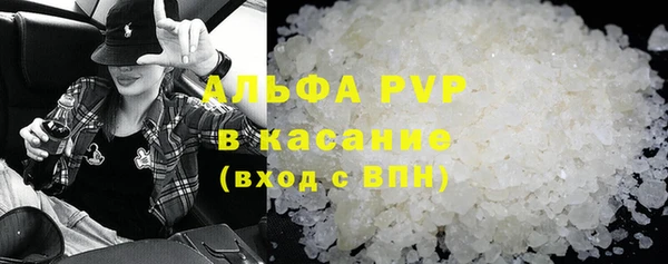 стаф Алексин