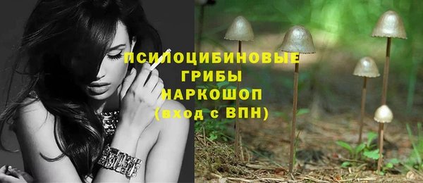 дмт Алзамай