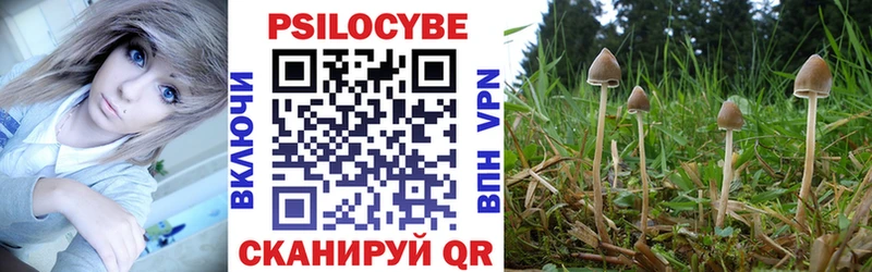Галлюциногенные грибы мицелий Бабаево
